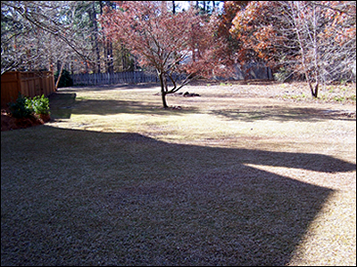 Mulching