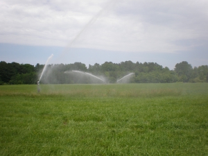 Reuse Irrigation