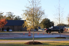 november2012-23
