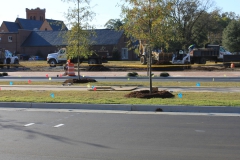 november2012-28