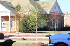 november2012-3