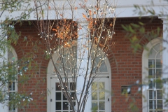november2012-32