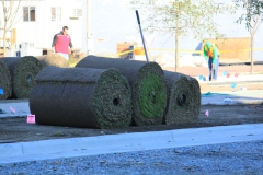 november2012-34