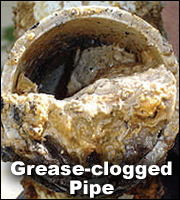 Grease Clogged Pipe