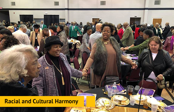 Strategic Plan Racial and Cultural Harmony Image